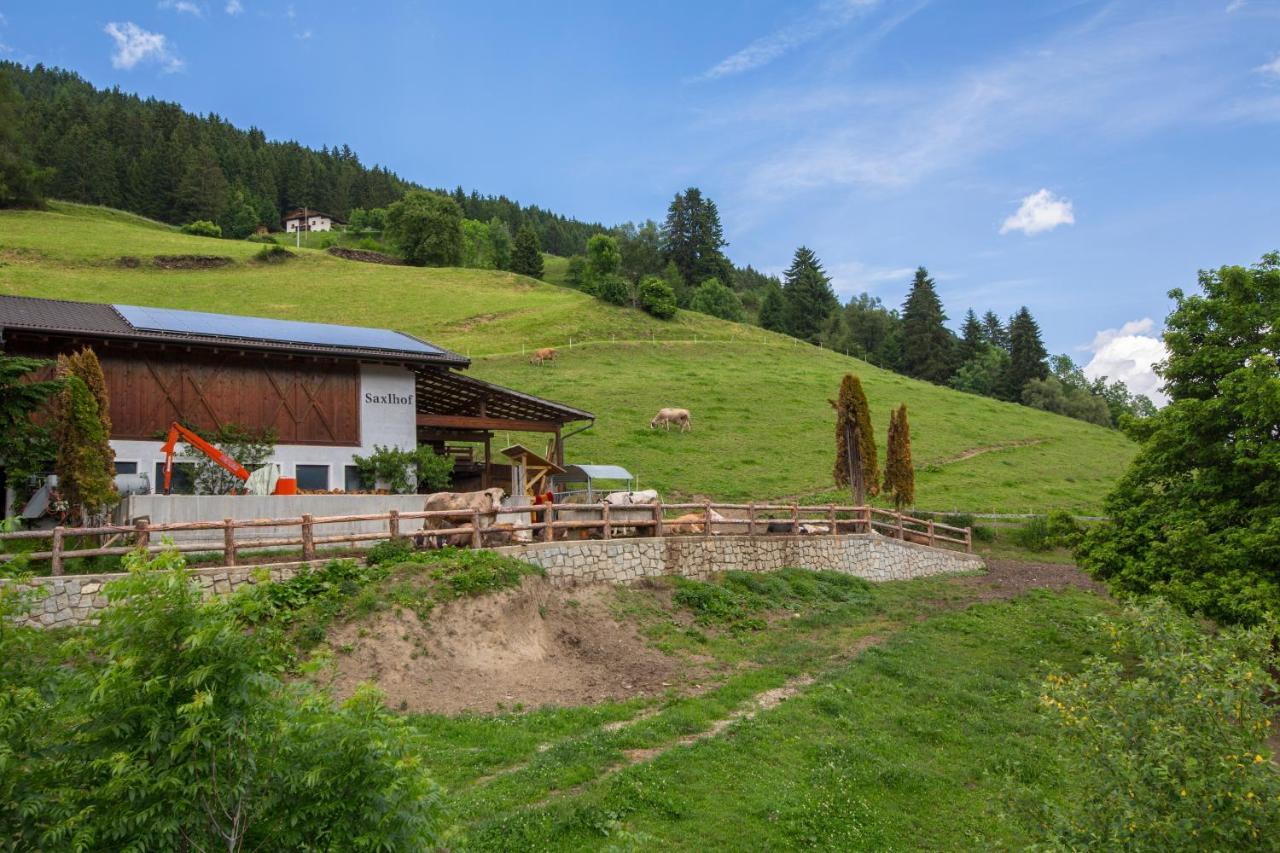 Saxlhof Aparthotel Stanga Екстериор снимка